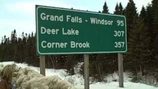 Tara Oram - in Gander + Grand Falls, NL!!
