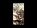 caza mayor de chancho del monte y tapir