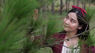 Dalat Dreamers Giấc Mơ Của Những Kẻ Mộng Mơ