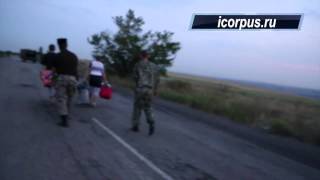 Обмен военнопленными, в том числе Панасюка 11.08.2014 репортаж icorpus ru