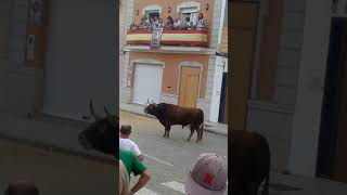 Cogida 7 Septiembre Puzol