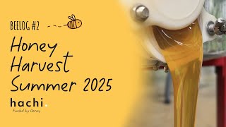 Beelog - Honey Harvest Summer 2025