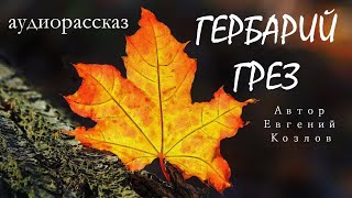 🔴 Гербарий Грез / Аудиорассказ / Автор Евгений Козлов