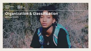 Watch Willow Organization  Classification video