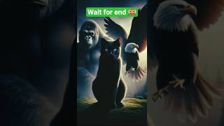 Gorilla Cat Eagle Fusion Unbelievable Hybrid Animal Revealed Virl