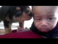 Cute And Funny Pictures About Puppy Rottweiler And Baby.
