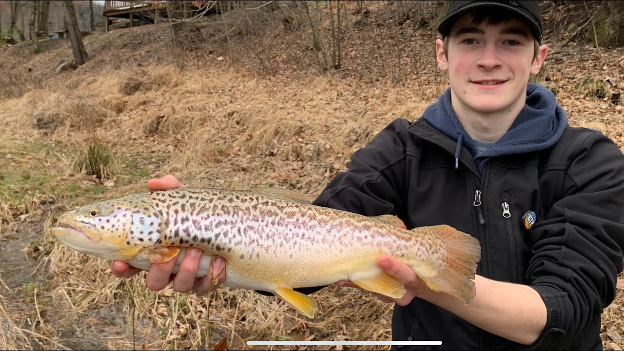 All Videos