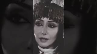 Hz Yusuf Başkalarının Omzuna Binmeyi Sevmiyorum