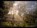 Download tract 02 - SHALOM Singers w| bill aujero - Pagbabahagi MP3 song and Music Video