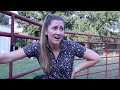 Equestrian One Upper 🙄 | Horse Girl Comedy 😂