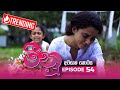 Meenu Episode 54 Last Episode