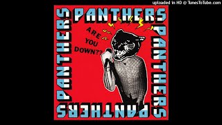 Watch Panthers Vandalist Committee Of Public video