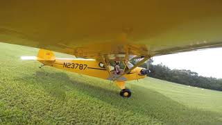 Lisa Masters Tailwheel In The Legend Cub