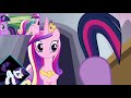 ZeeBrony
