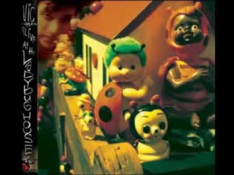 Animals Video