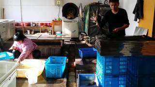 Yiwu Qiansi Import&Export Co., Ltd.