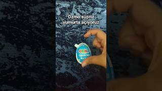 Ozmo Süpriz Yumurta Açıyoruz