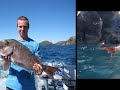NZ Snapper & Kingfish at GB