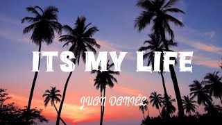 Its My Life-Juan Daniél Spanish To English Lyricsletra
