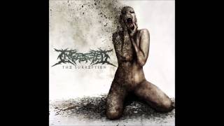 Watch Ingested Decline video