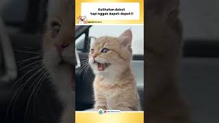Kelihatan Dekat Tapi Gak Dapat-Dapat?