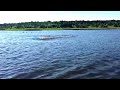 Hippo Charge on Chobe River Jan2015, recorded with iPhone 6;
