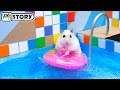 The Awesome Hamster Ball Pool Maze 🐹 Homura Ham Pets