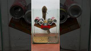 Great Idea To Make Your Own Mouse Trap From Scrap Cans #Rat #Rattrap #Mousetrap #Shorts