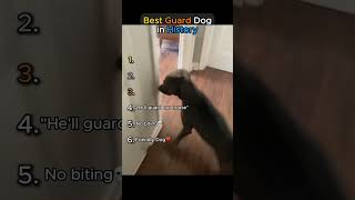 Best Guard Dog In History