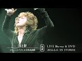 黒夢 / 黒と影 2014.1.29 Live at 日本武道館  SPOT