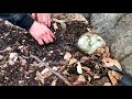 Pond Cleaning & Inspection In Urbandale, IA - Exploratory Drain & Clean Service