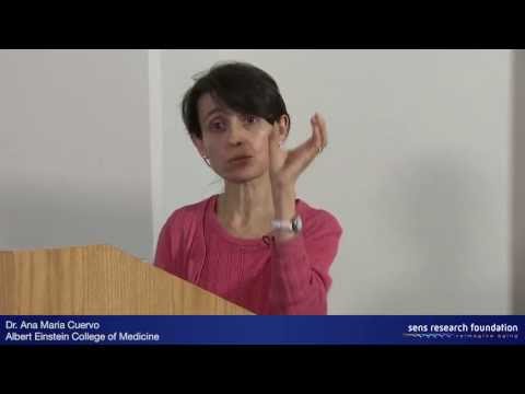 Autophagy and Intracellular Aggregates - Dr. Ana Maria Cuervo