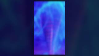 M A V I S Edit