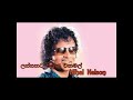 Lassanata Pipunu Wana Mal Original Song Lyrics  - Nihal Nelson l Lyrics Video