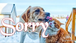 Sorry Désolé Mamie - Léa.s Officiel - Prod.by