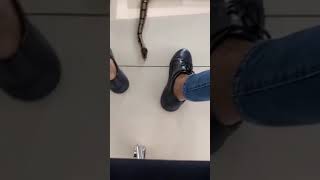 Lüks Yaşam Yilan Besleme Ev Ortam Çeki̇m Instagram