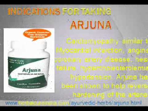 Terminalia Arjuna Side Effects