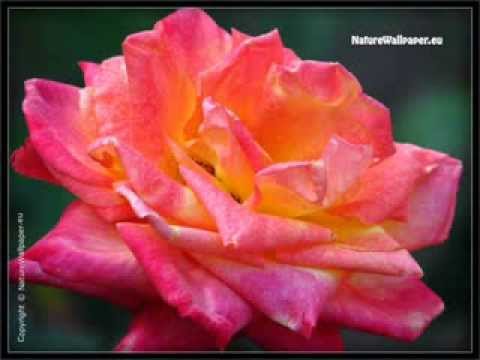 Mounamelanoyi song from Sagara Sangamam by Ravi