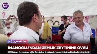 İmamoğlundan Gemlik Zeytinine Övgü