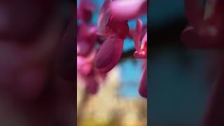 Manzara Vi̇deosu Instagram Story Vi̇deolari Fake Story - Deni̇z Manzara Vi̇deo Instagram