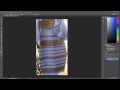 The True Color of The Dress Proof... Blue & Black or White & Gold?