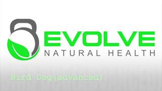 Bird Dog (advanced)