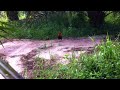 image Pikat Ayam Hutan Xpandai 5