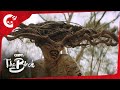 The Birch | "The Protector" | Crypt TV Monster Universe | Short Film
