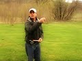 andflies