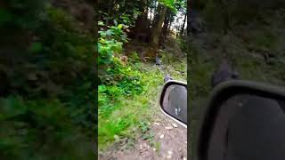 Thug Life Wild Turkey