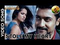 Singam - Stole My Heart Video Song | Suriya , Anushka Shetty | Devi Sri Prasad | Hari | AV Videos