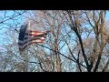 Flag Runners: Wilmette Resident Tangled Flag