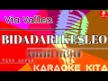 Bidadari Kesleo - Via Vallen - KOPLO (Karaoke Tanpa Vocal)