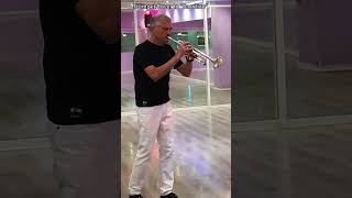 Feel The Vibe Trumpet Cover Of Sacrifice